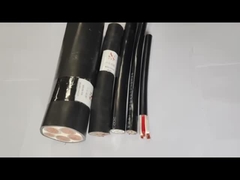 LV Low Voltage XLPE Insulated Cable Copper Conductor PVC Sheathed Non Armoured