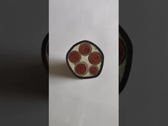 1kv CU XLPE PVC Low Voltage Power Cable 1x70sqmm IEC60502-1 LV Cable